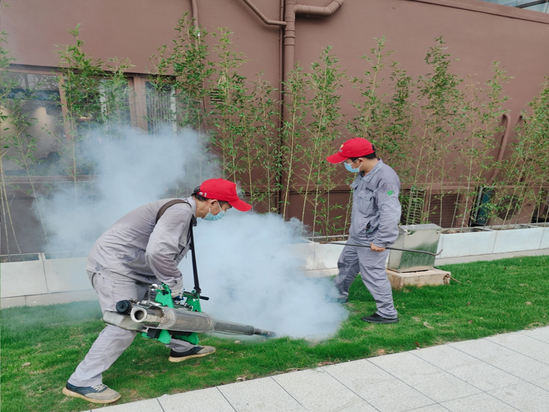 专业消杀队在潘茂名公园庙街消杀.png